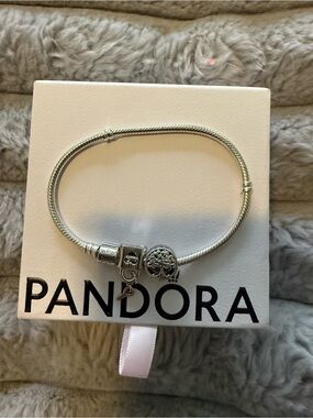 Pandora Bracelet with two charms